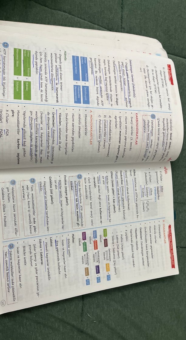 Herkes İçin Biyoloji Konu Anlatımlı Defter - Görsel 4