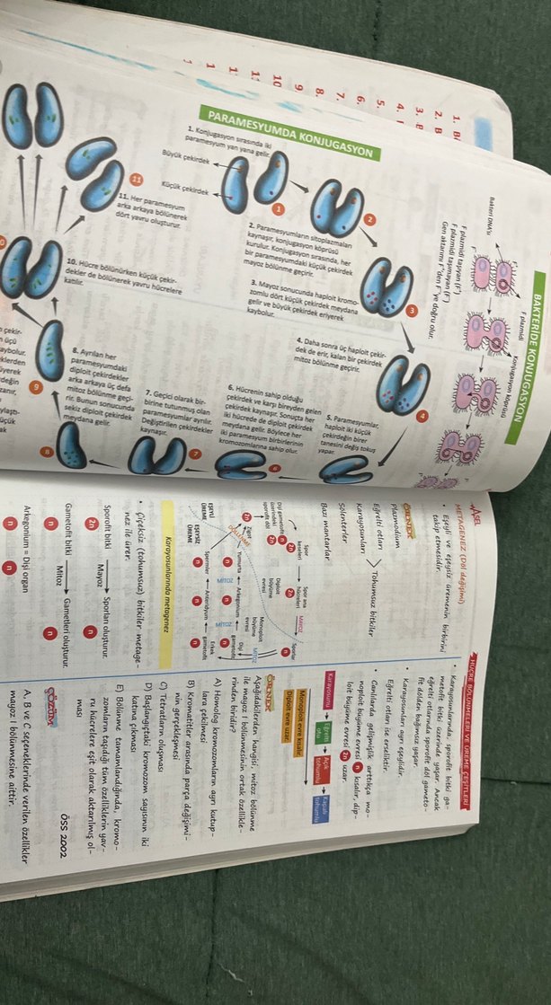 Herkes İçin Biyoloji Konu Anlatımlı Defter - Görsel 2