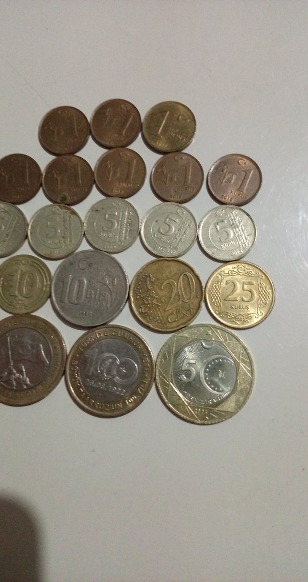 Çeşitli Türk Paraları Koleksiyonu - Görsel 5