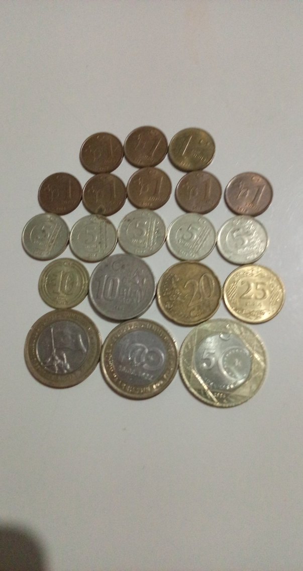 Çeşitli Türk Paraları Koleksiyonu - Görsel 4