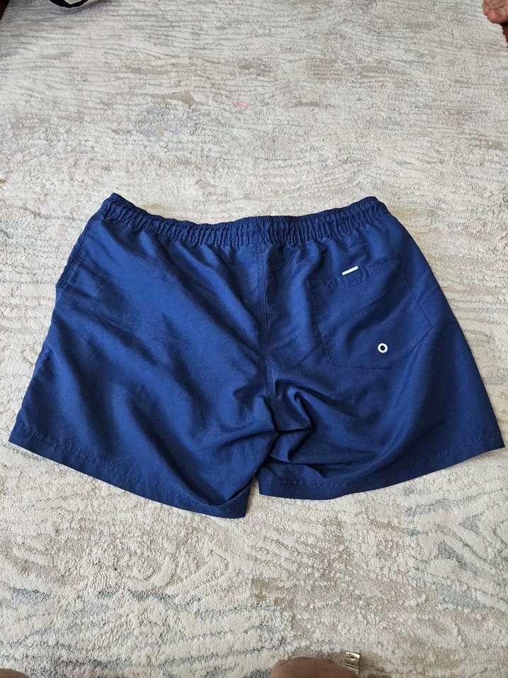 Mavi Erkek Şort Deniz Plaj - Görsel 3