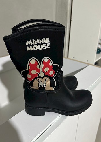 Walt Disney World 33