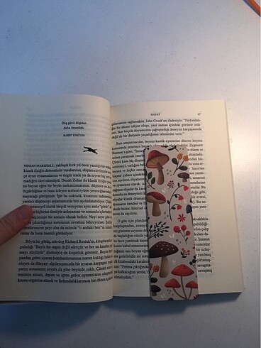 Beden Kitap