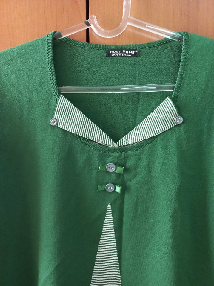Yeşil V Yakalı Triko - Görsel 3