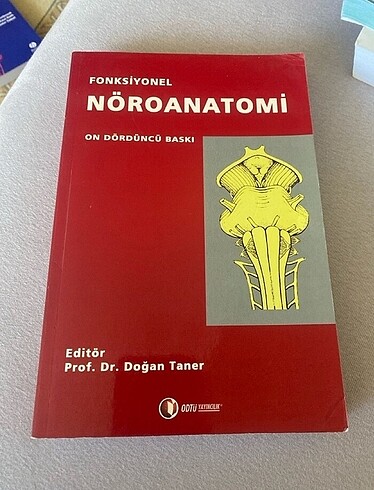 Nöroanatomi