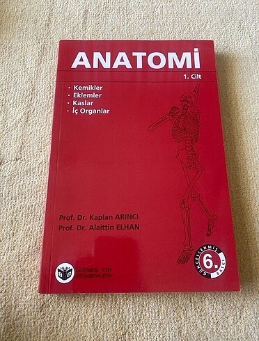 Anatomi