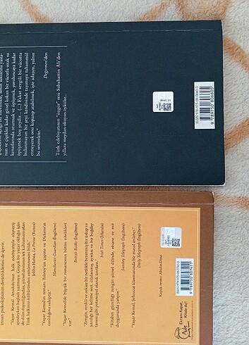  Klasik kitap 