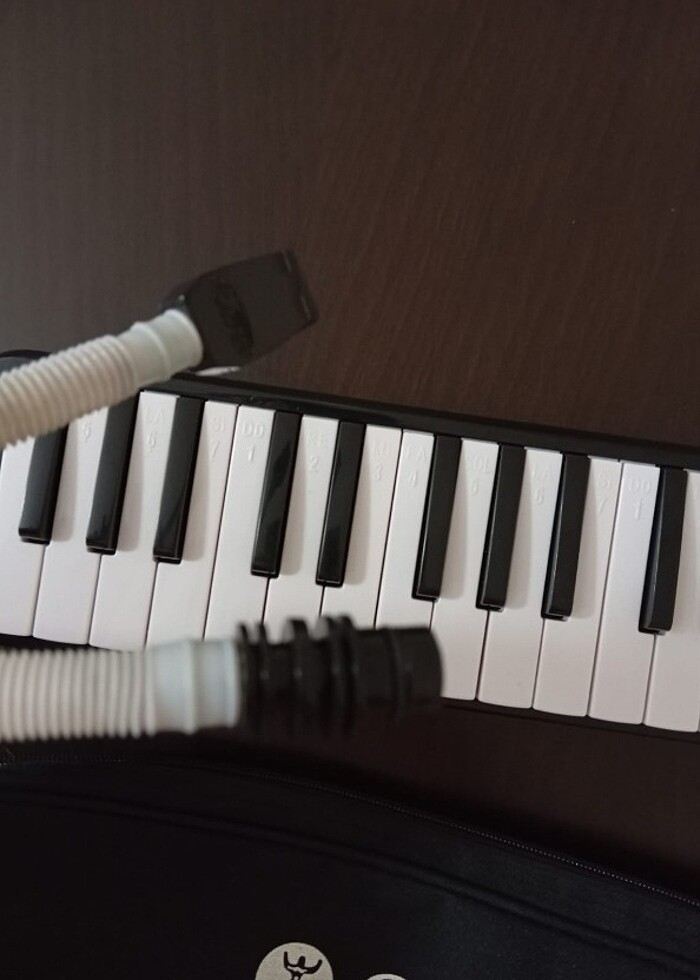 Siyah Melodika 32 Tuşlu - Görsel 2