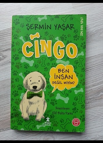 cingo çocuk kitabı