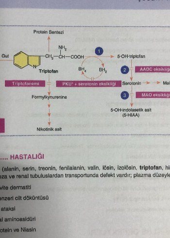 Mia akademi Pediatiri konu kitabı - Görsel 5