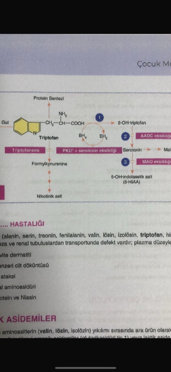 Mia akademi Pediatiri konu kitabı - Görsel 5