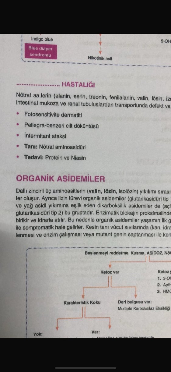 Mia akademi Pediatiri konu kitabı - Görsel 4