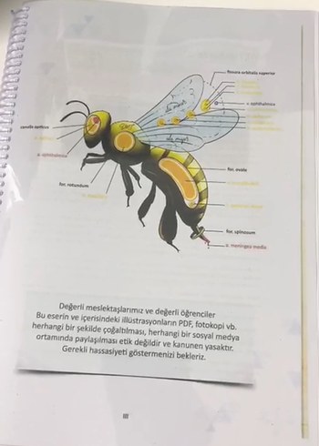 2 tus kitabı renkli - Görsel 2