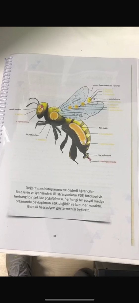 2 tus kitabı renkli - Görsel 2