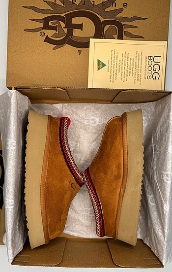 UGG TAZZ TABA YENİ SEZON!