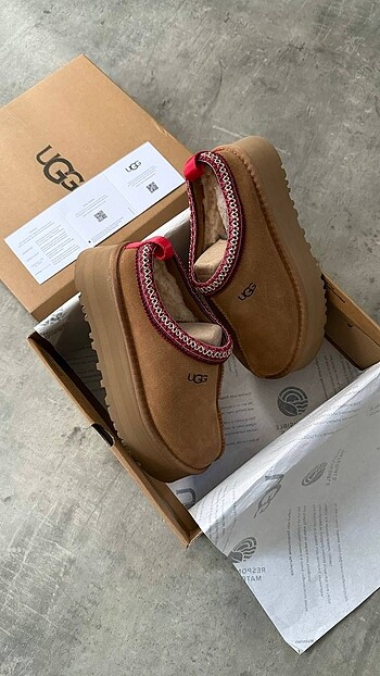 Ugg Tazz Taba