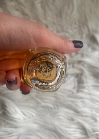 Kadın Parfümü Fortune Exquisite 50 ml - Görsel 4