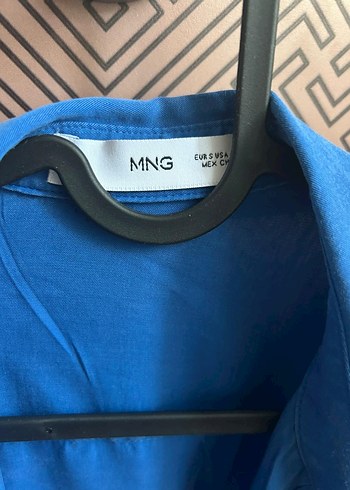 Mavi Kadın Gömlek - Görsel 2