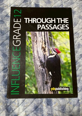 Through The Passages - Influence Grade 12 Kitap