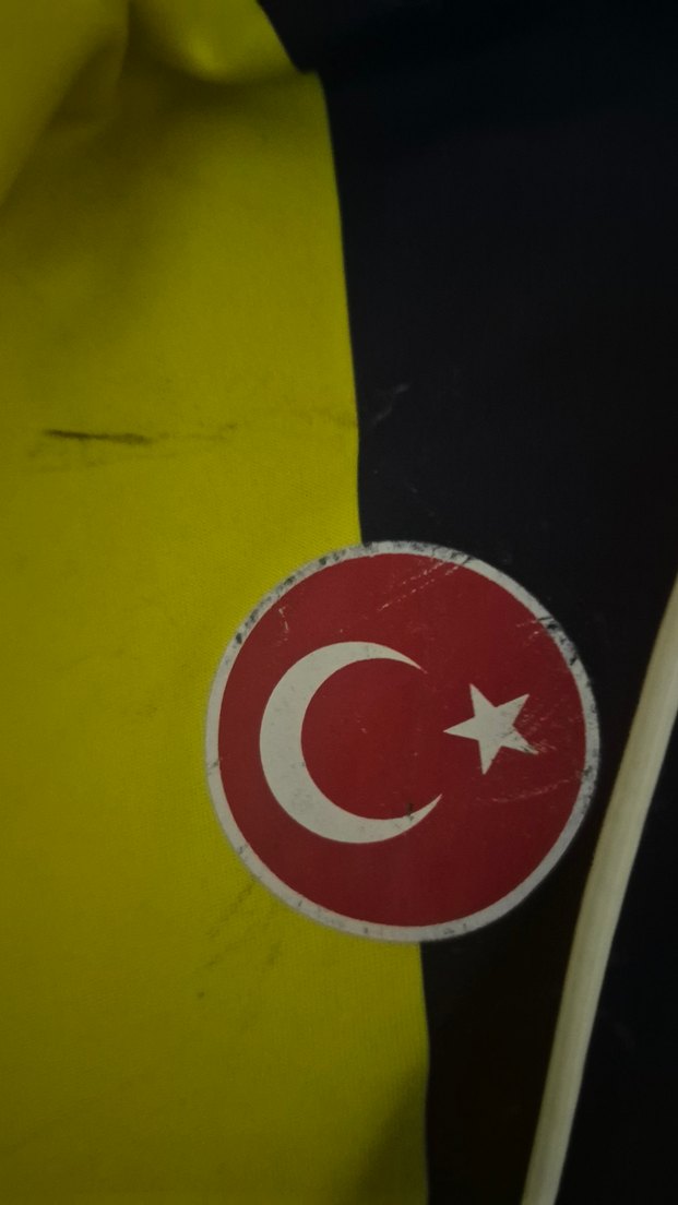 Fenerbahçe 2023-2024 Sezonu 100. Yıl Forması - Görsel 2