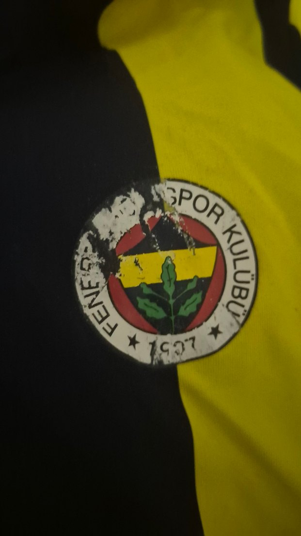 Fenerbahçe 2023-2024 Sezonu 100. Yıl Forması - Görsel 3