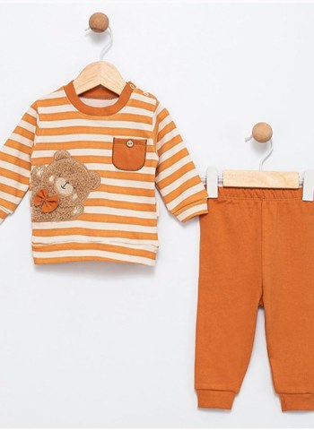 Kahverengi Çizgili Uzun Kollu Bebek Takımı - Görsel 3
