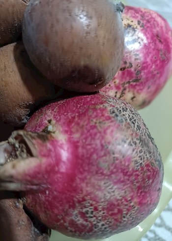 meyve tabağı - Görsel 2