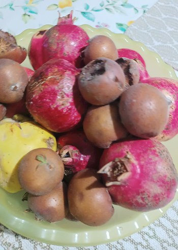 meyve tabağı - Görsel 4