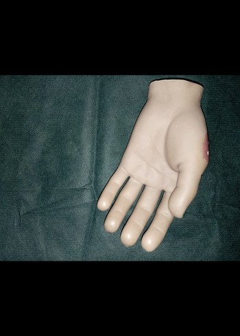 Koleksiyon - Görsel 2