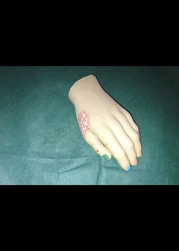 Koleksiyon - Görsel 3