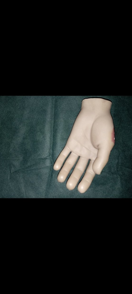 Koleksiyon - Görsel 2