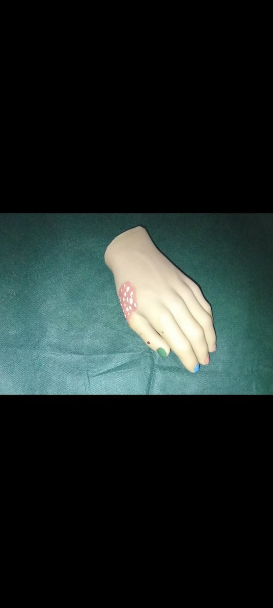 Koleksiyon - Görsel 3