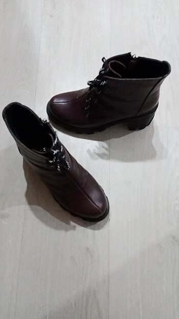 bordo bot