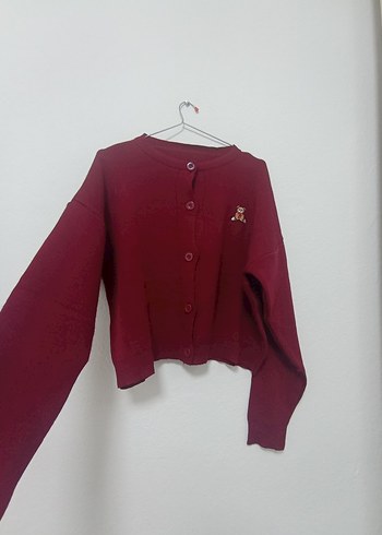 Yeni Kadın Hırka - Görsel 2