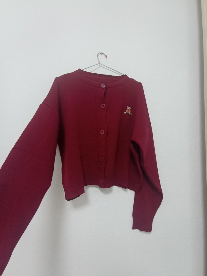 Yeni Kadın Hırka - Görsel 2