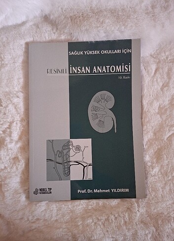 Resimli İnsan Anatomisi