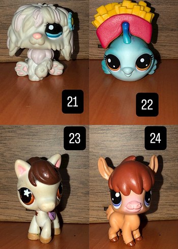  Beden Renk littlest pet shop