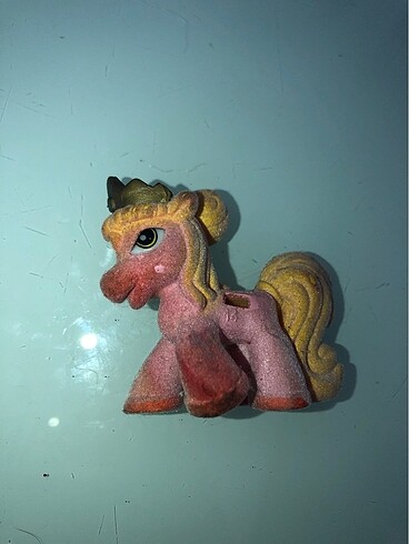 Ponyy