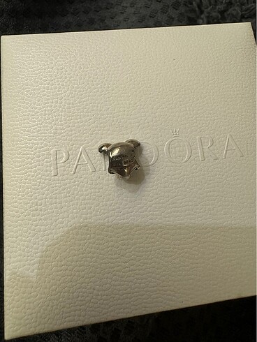Pandora Pandora charm