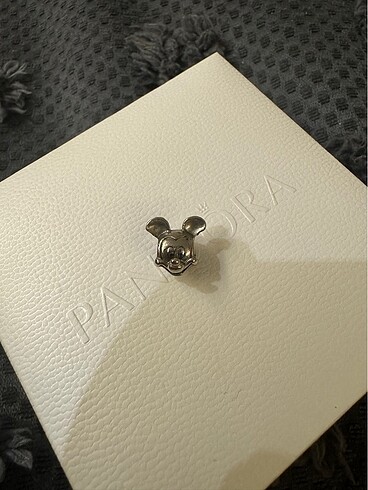 Beden gri Renk Pandora charm