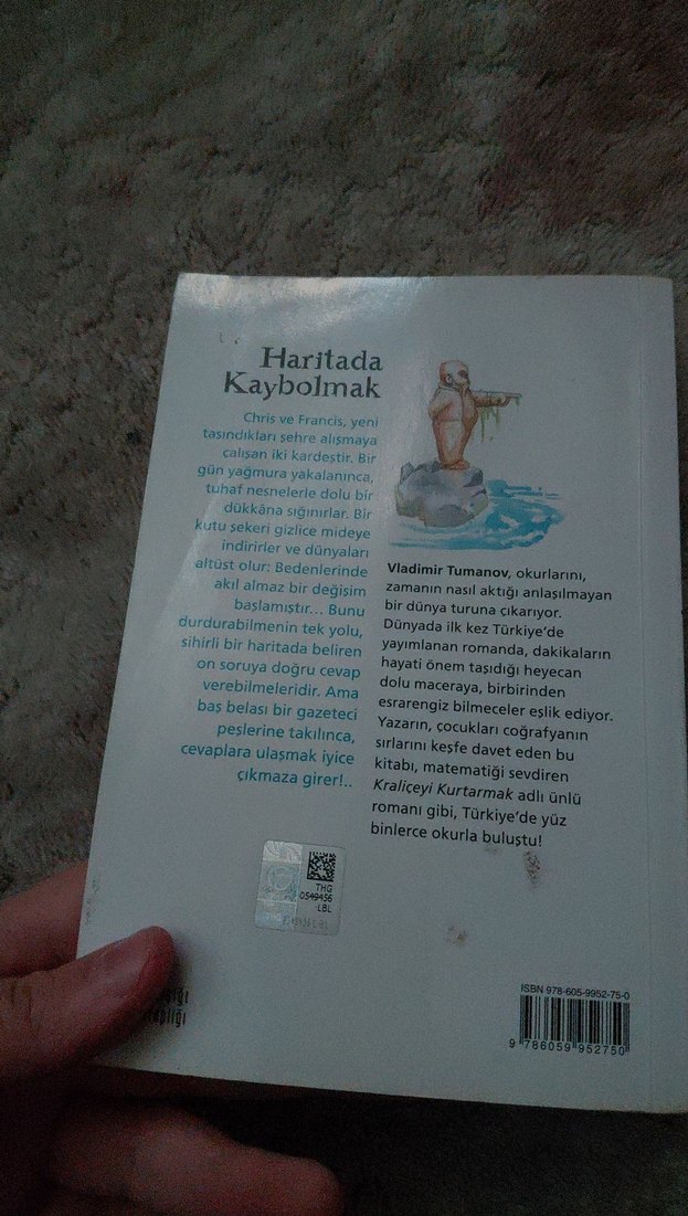 Haritada Kaybolmak - Vladimir Romanov - Görsel 2