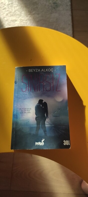 Beyza Alkoç Sınırsız kitabı 