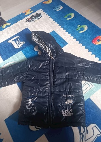 Koyu Mavi Kapüşonlu Erkek Çocuk Mont