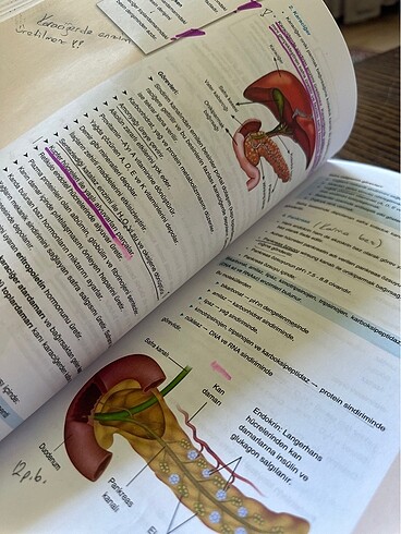 Çap sistemler - Görsel 3