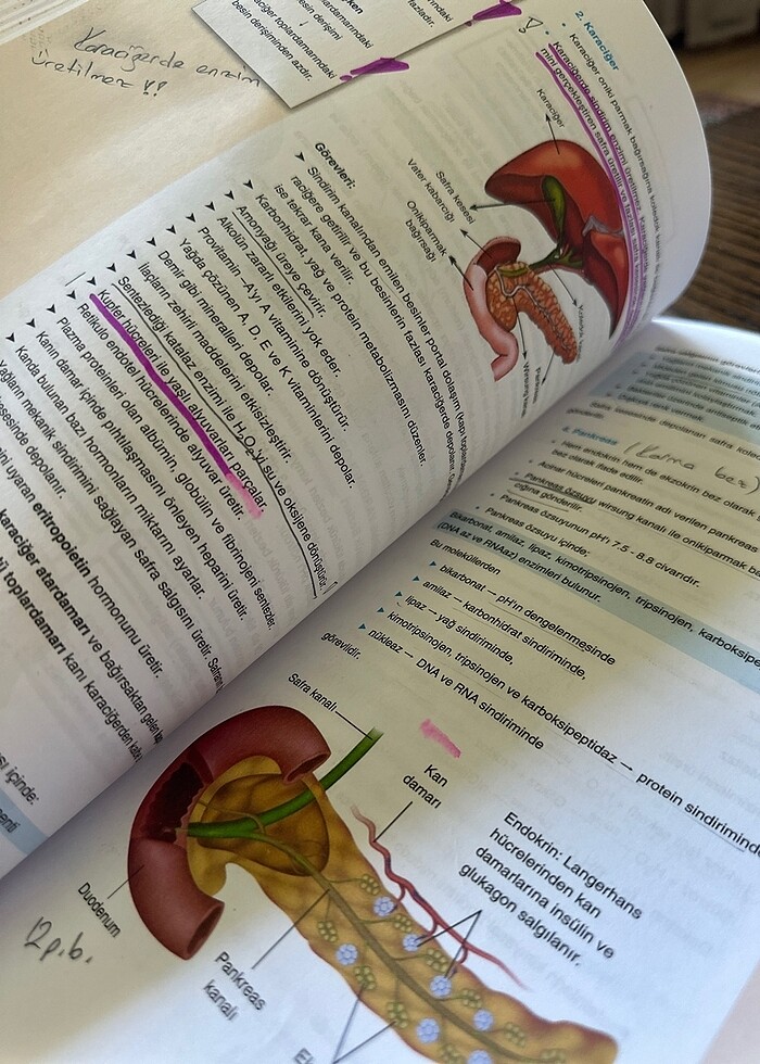 Çap sistemler - Görsel 3