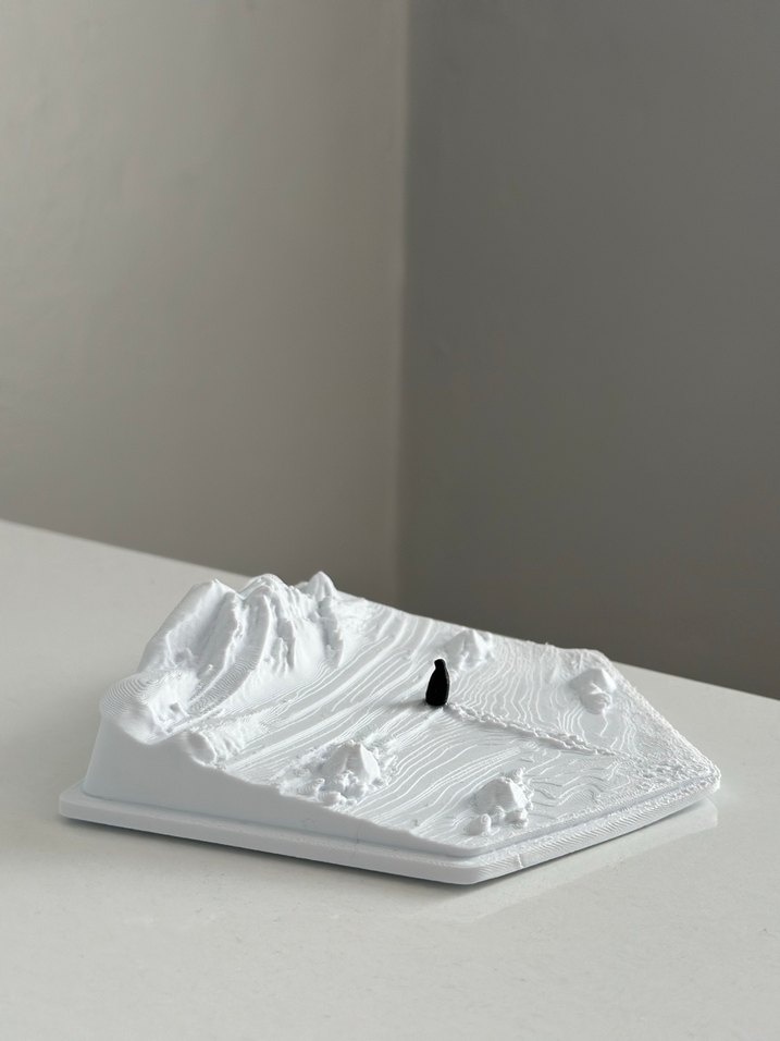 Penguen nihilist yalnız penguen - Görsel 2