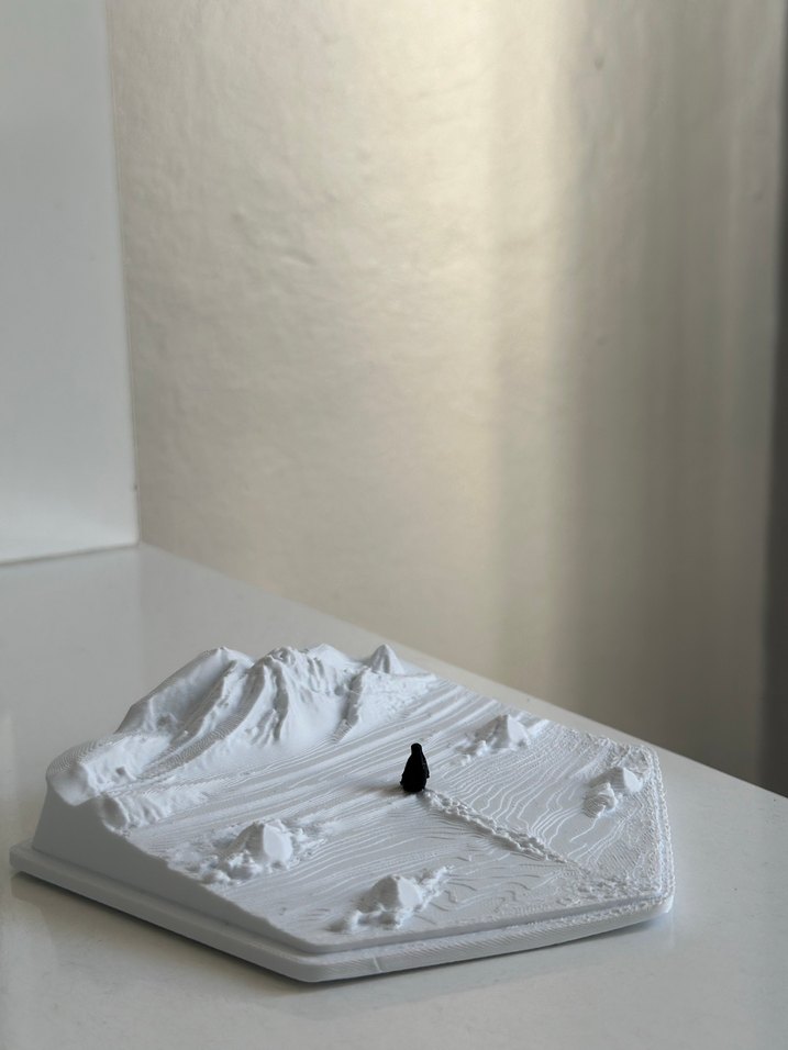 Penguen nihilist yalnız penguen - Görsel 3