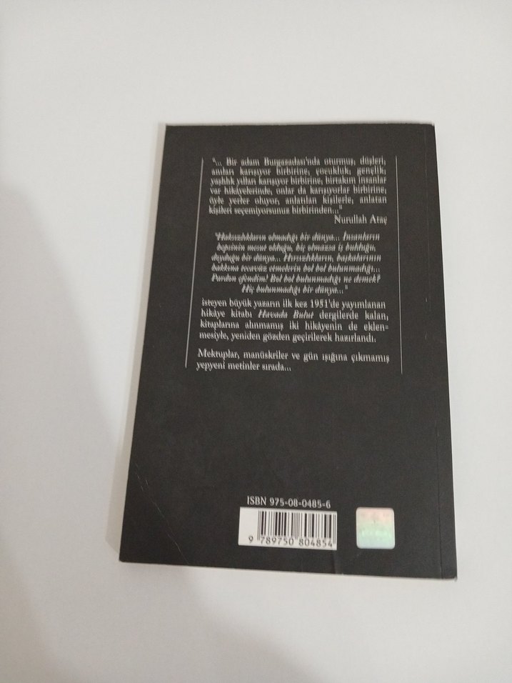 Havada Bulut - Sait Faik Abasıyanık - Görsel 2