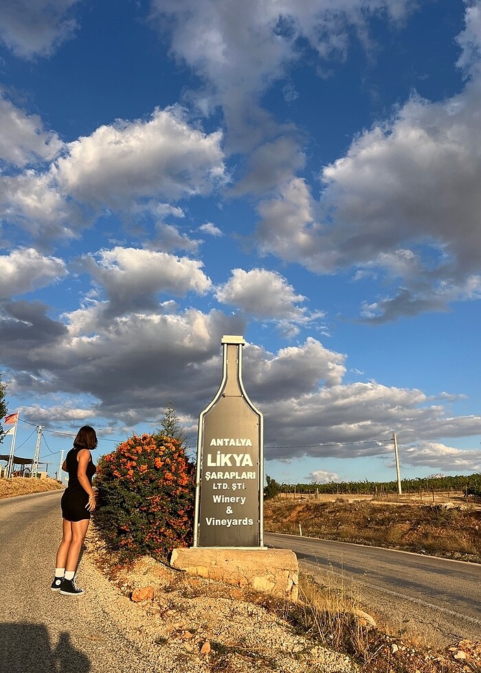 siyah elbise - Görsel 4