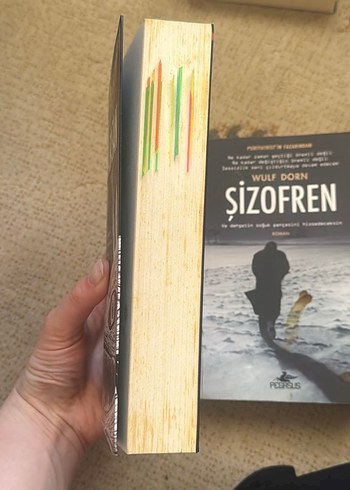 Wulf Dorn - Şizofren ve Karabasan Romanları - Görsel 2